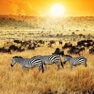 Visum kenia Visum kenia